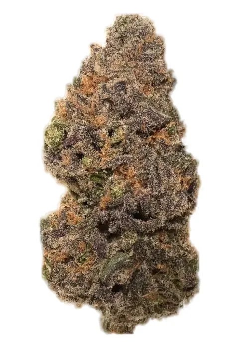 Baby Cakes #11 cannabis clone