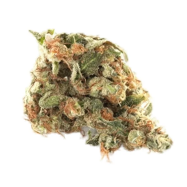 Cherry Biscotti #8 cannabis clone