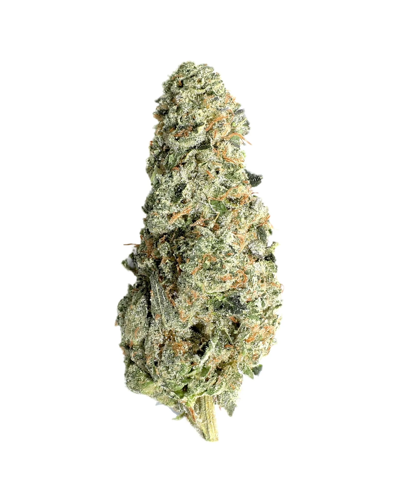 Dante's Wrath cannabis clone