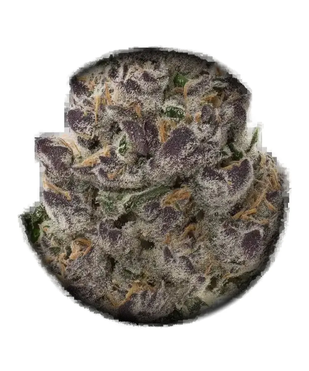 Double Stack #1 cannabis clone