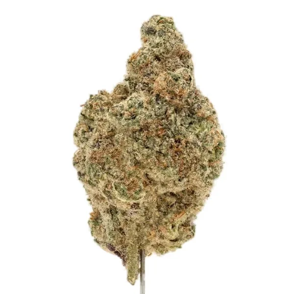 Mac Daddy cannabis clone