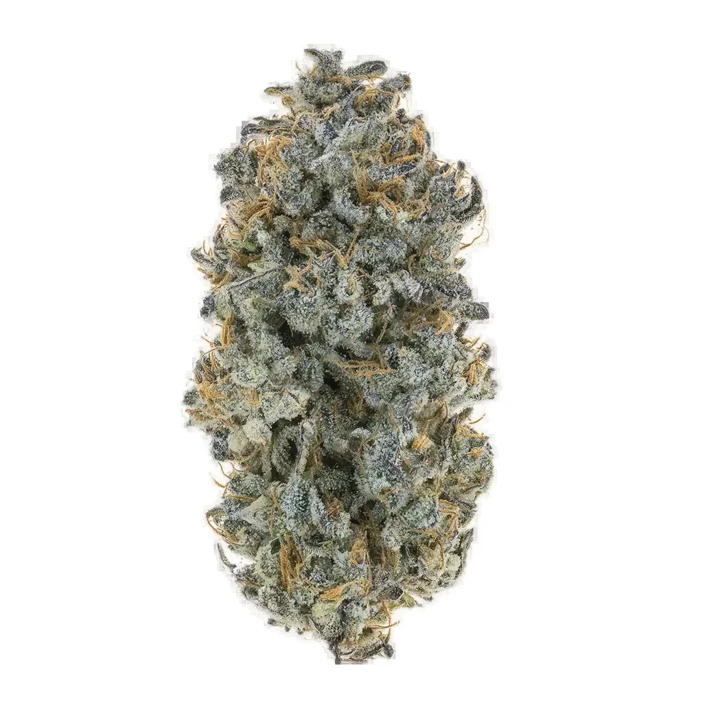 Party Tricks #35 cannabis clone