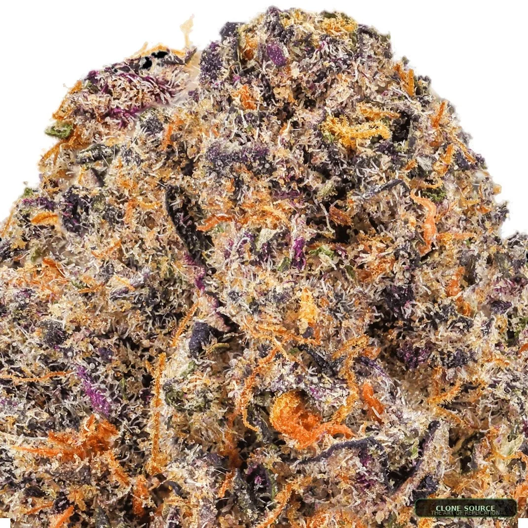 Pink Zkittles cannabis clone