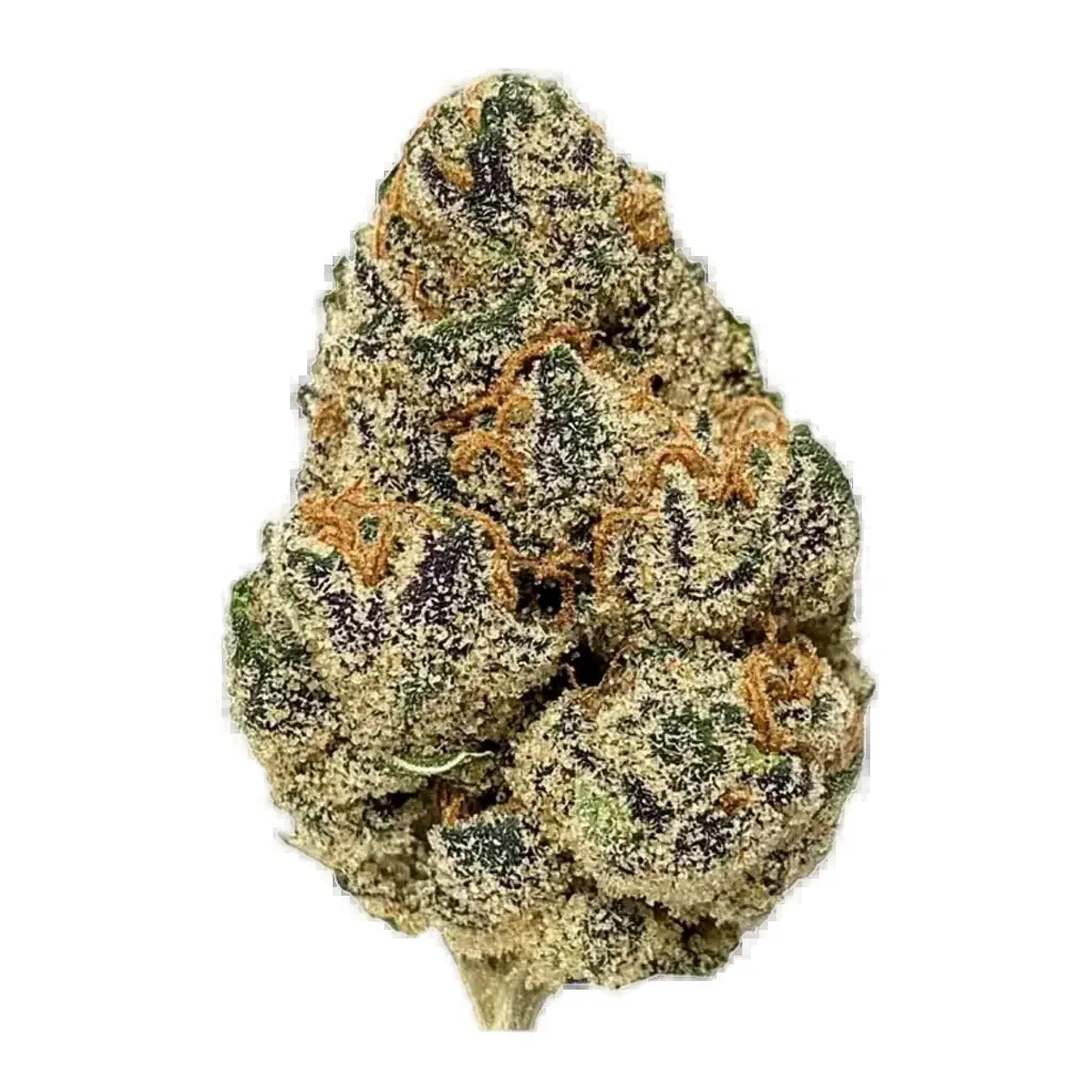 Punch Breath cannabis clone