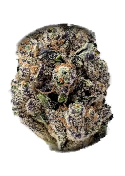 Purple Push Pops cannabis clone