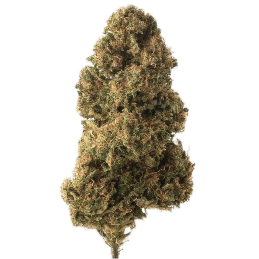 Super Sours #9 cannabis clone